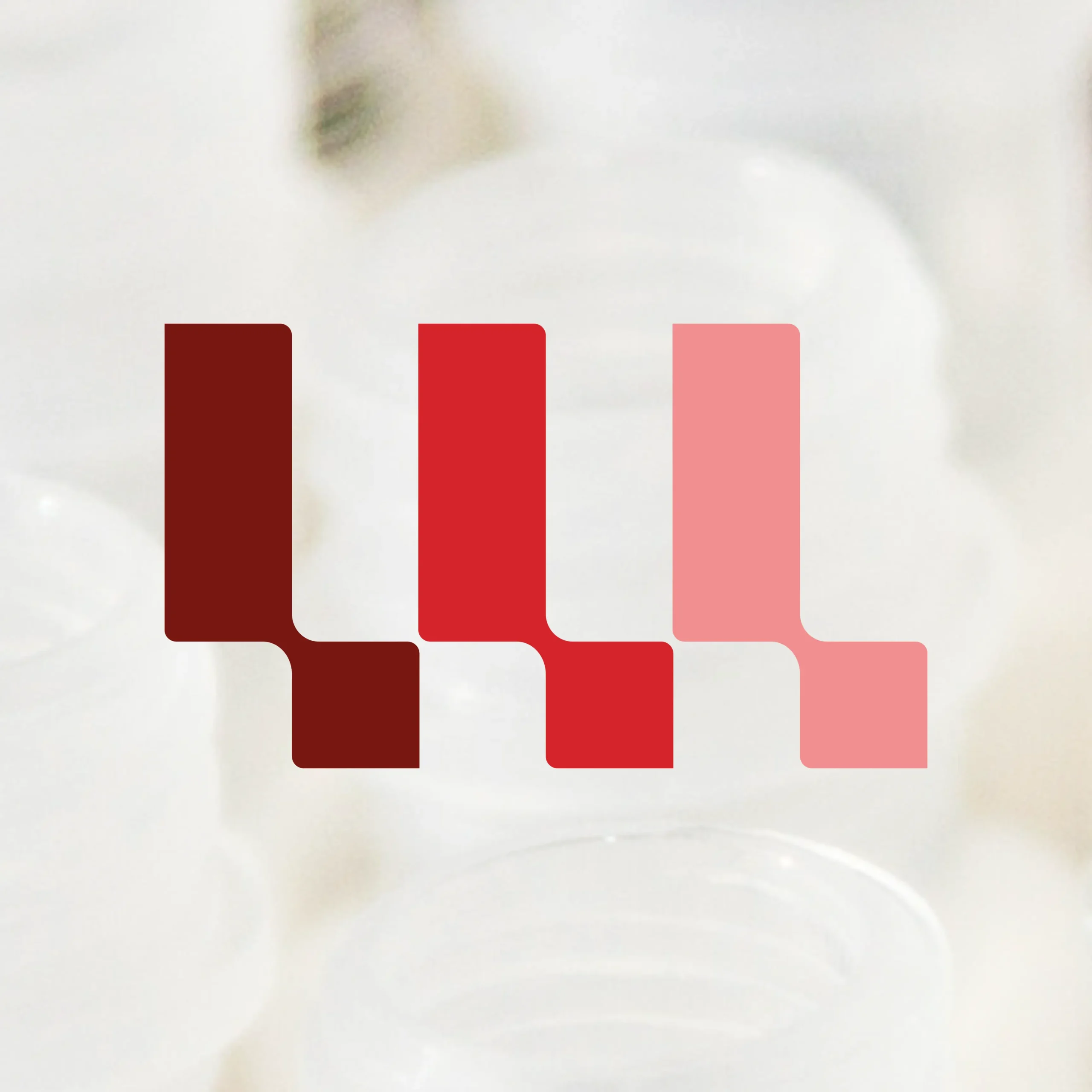 Lithea Receives U.S. FDA Orphan Drug Designation for Lead Osteosarcoma Therapy, LIT1001